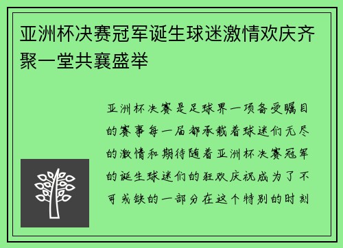 亚洲杯决赛冠军诞生球迷激情欢庆齐聚一堂共襄盛举