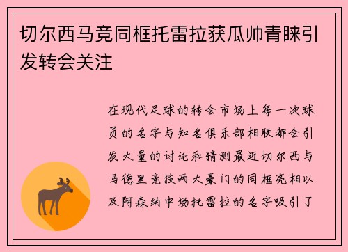 切尔西马竞同框托雷拉获瓜帅青睐引发转会关注