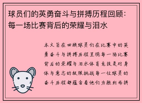 球员们的英勇奋斗与拼搏历程回顾：每一场比赛背后的荣耀与泪水